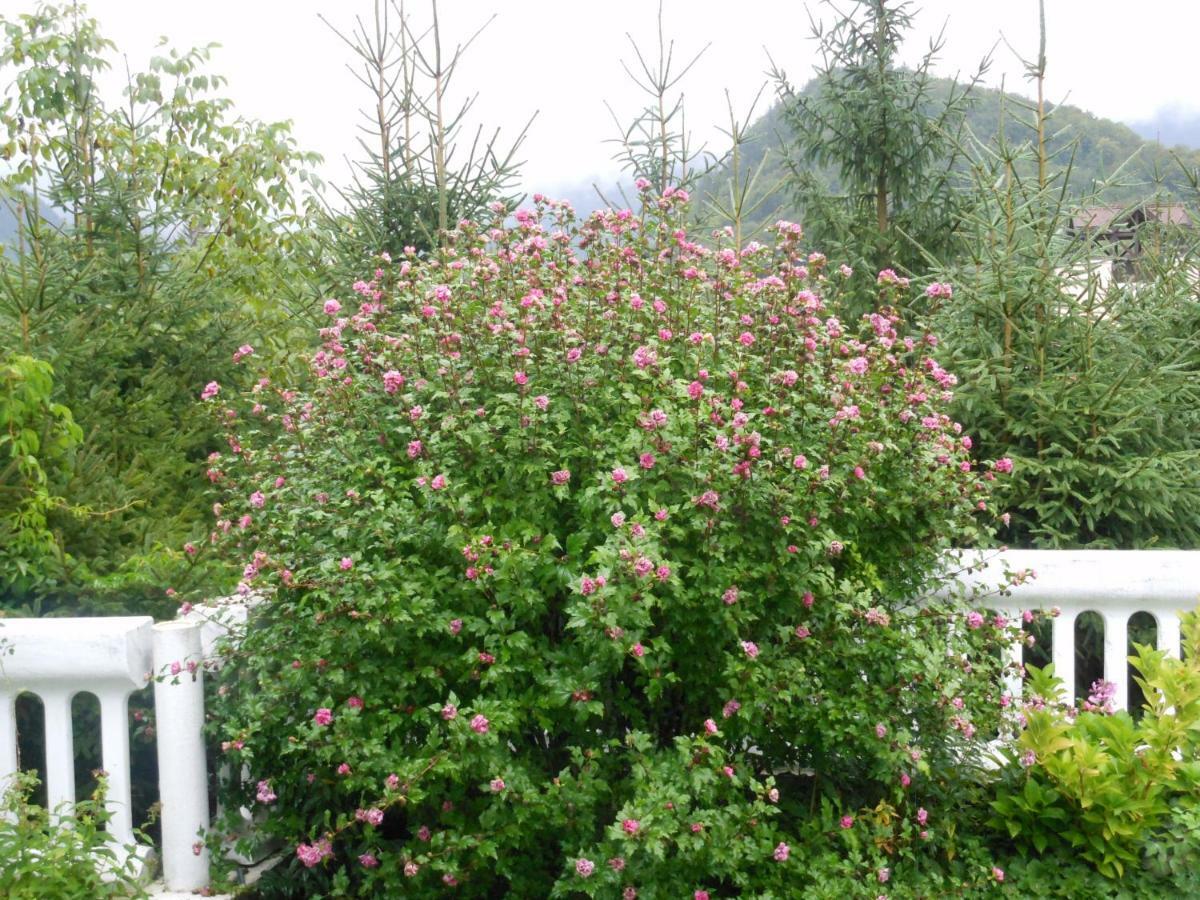 Villa Romy Bad Ischl Exterior foto